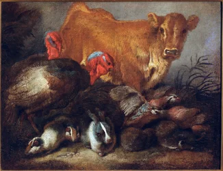 Studie van dieren Koe, kalkoen, konijn