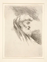 Oude man met lange baard, in profiel, naar rechts gekeerd (uit de serie Les petites tetes)
