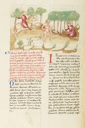 Decameron, De helse jacht - Visioen van Nastagio degli Onesti , Vijfde dag, kort verhaal 8.