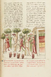 Decameron, De jonge gevangene - Restituta Bolgaro en Giari di Procida aan de schandpaal , Vijfde dag, kort verhaal 6.