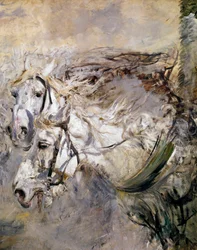 Twee witte paarden