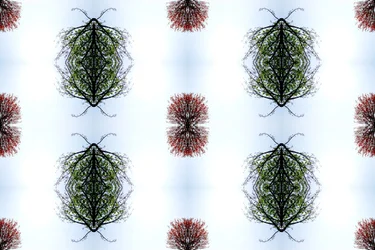 Onnatuurlijk 110