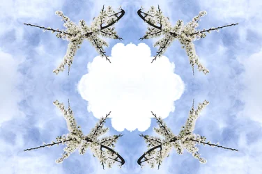 Onnatuurlijk 115