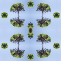 Onnatuurlijk 118