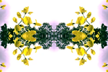 Onnatuurlijk 151.2