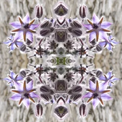 Onnatuurlijk 159