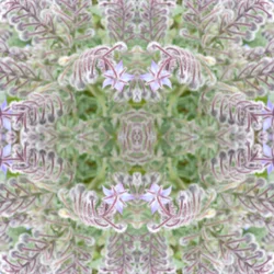 Onnatuurlijk 161