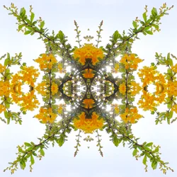 Onnatuurlijk 175