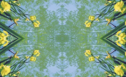 Onnatuurlijk 17