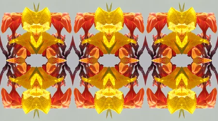 Onnatuurlijk 190