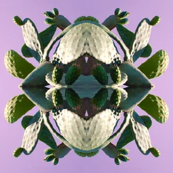 Onnatuurlijk 196