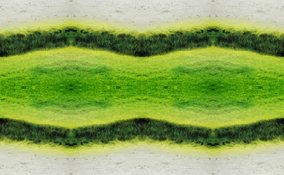 Onnatuurlijk 2.1