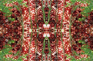 Onnatuurlijk 23