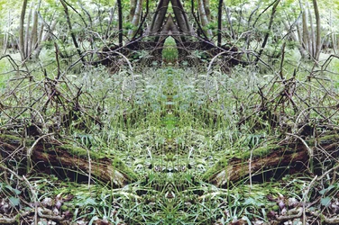 Onnatuurlijk 33