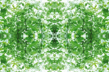 Onnatuurlijk 34