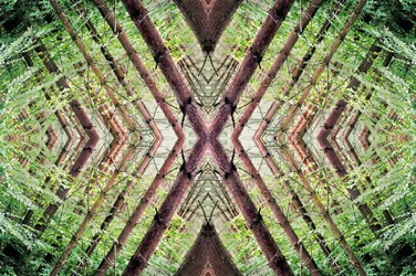 Onnatuurlijk 37
