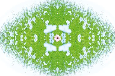 Onnatuurlijk 37