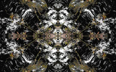 Onnatuurlijk 37