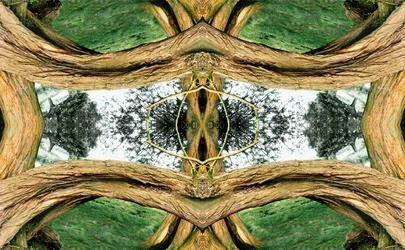 Onnatuurlijk 37