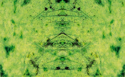 Onnatuurlijk 3