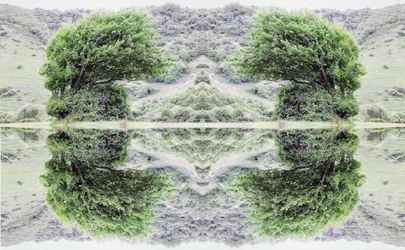 Onnatuurlijk 40