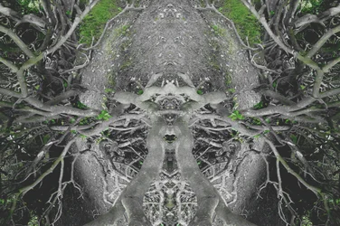 Onnatuurlijk 42