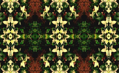 Onnatuurlijk 43
