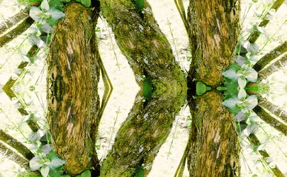 Onnatuurlijk 45