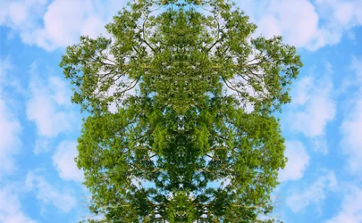 Onnatuurlijk 46
