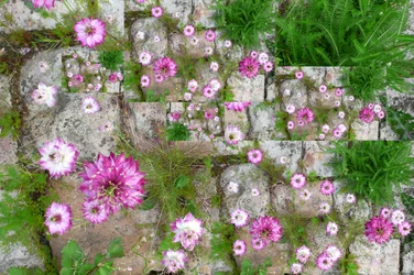 Onnatuurlijk 60