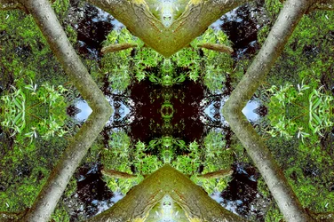 Onnatuurlijk 65.3