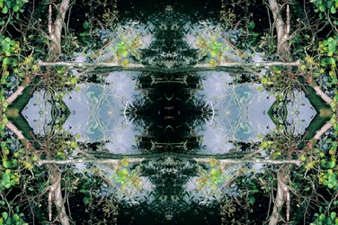 Onnatuurlijk 73