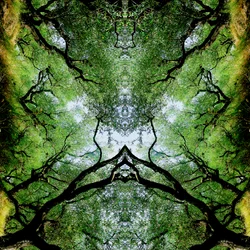 Onnatuurlijk 75
