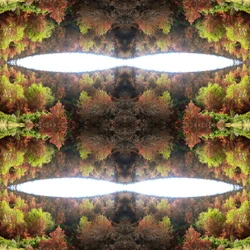 Onnatuurlijk 77.1
