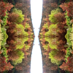 Onnatuurlijk 77
