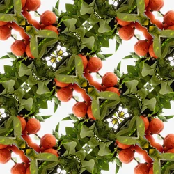 Onnatuurlijk 79