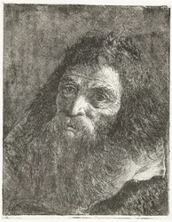 Man met lang haar en baard