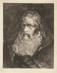 Oude man met kaal hoofd, uit de Raccolta di Teste (Collectie van Hoofden)