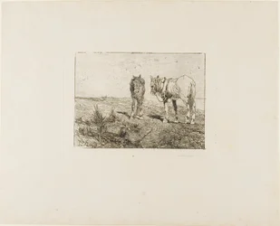 Paardenrust