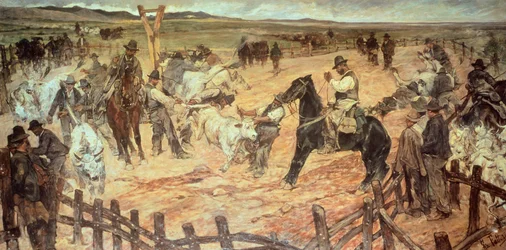 Markeren van jonge stieren in Maremma