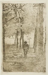 Boswandeling met figuur