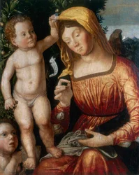 De naaister Madonna