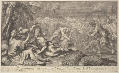 Graanoogsters, 1704