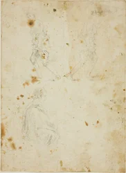 Studies van mannelijke figuren
