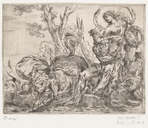 Hercules doodt de centaur Nessus