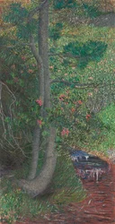 Pijnboom