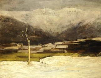Savognino Landschap