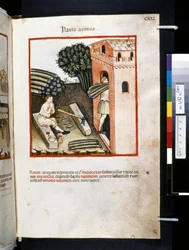Theatrum sanitatis door Ububchasym de Baldach: 
