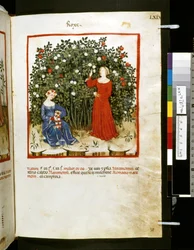 Theatrum sanitatis door Ububchasym de Baldach: 