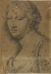 Borstbeeld van een Vrouw
